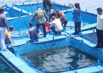 Wamen PT, Sains, dan Teknologi Dukung Unpatti Kembangkan Ekonomi Pesisir di Maluku