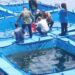 Wamen PT, Sains, dan Teknologi Dukung Unpatti Kembangkan Ekonomi Pesisir di Maluku