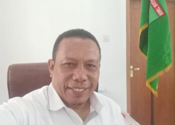 BKN Rilis Jadwal Seleksi Kompetensi PPPK SBT Formasi Tahap II 2024