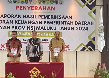 Bupati Malra Terima penghargaan BPK RI