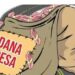 Dana desa