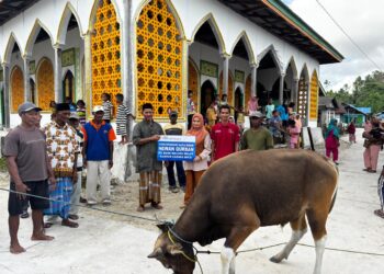 Bank Maluku-Malut Cabang Bula Serahkan Hewan Kurban Buat Warga di Dua Kecamatan