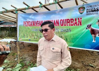 Kepala Bidang Peternakan Distan Maluku, Fahmi M. Yusup