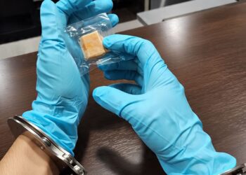 Diduga Konsumsi Narkoba, Oknum ASN di SBB Ditangkap