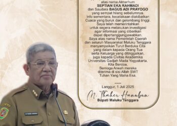 Bupati Malra, Thaher Hanubun