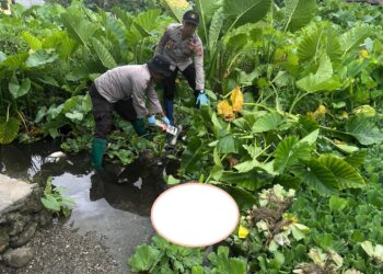 Polsek Leksula Evakuasi Jenazah, Diduga Meninggal Akibat Sakit