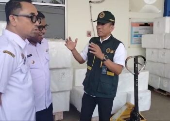 Maluku Ekspor Perdana Ikan Kerapu Hidup ke Hongkong