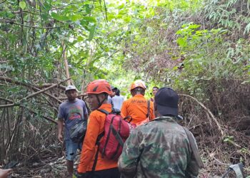 Tiga Pemburu yang Hilang di Hutan Tawiri Ambon Berhasil Ditemukan Selamat