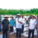 Kendalikan Inflasi, Pemkab Malra Tanam 450.000 Benih Cabai