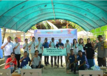 Transplantasi karang