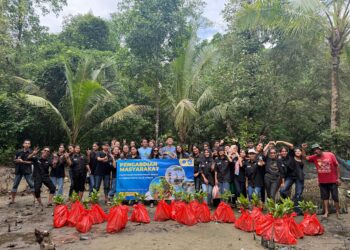 Cegah Abrasi, ITB dan Unpatti Tanam Ratusan Bakau