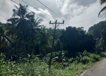 Jaringan Jalur Barat Kesui Perlu Perbaikan, Cuaca Buruk Listrik Padam